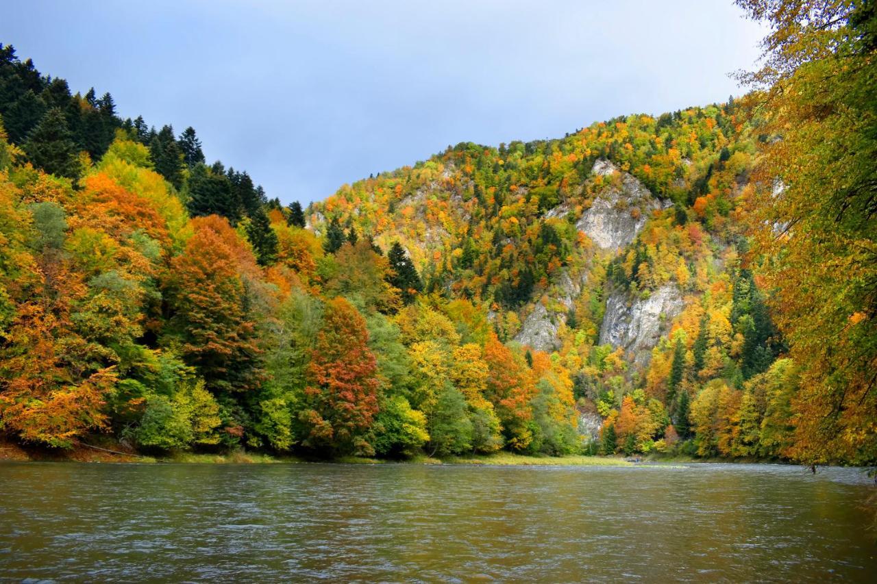 Agroturystyka Chmiel Sromowce Wyzne Esterno foto