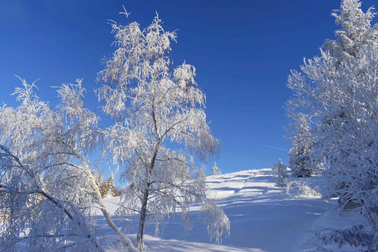 Agroturystyka Chmiel Sromowce Wyzne Esterno foto