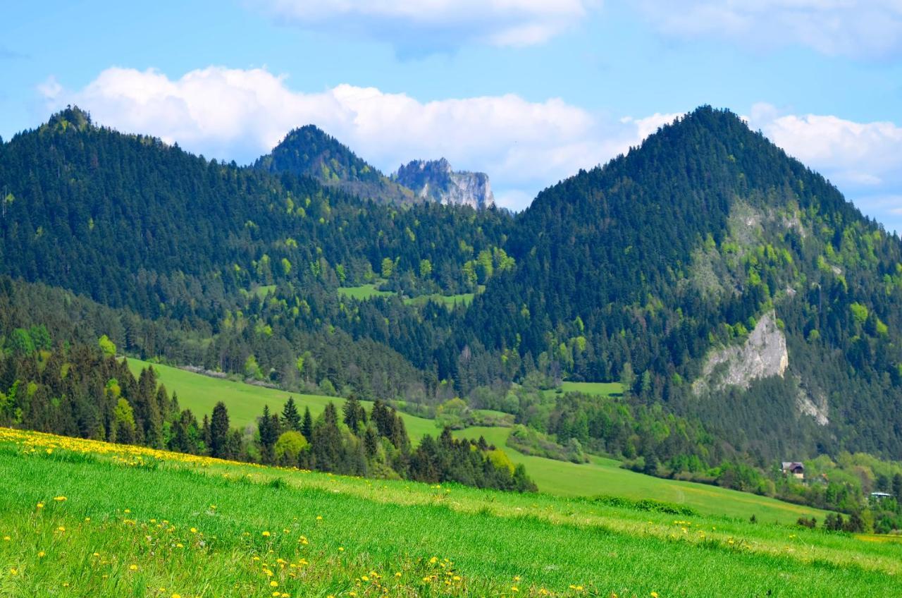 Agroturystyka Chmiel Sromowce Wyzne Esterno foto